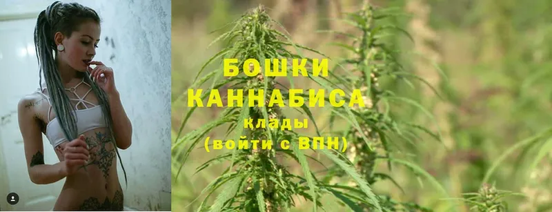 где можно купить наркотик  Рыльск  Бошки Шишки SATIVA & INDICA 